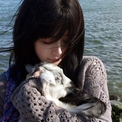 鸡同鸭讲 海报